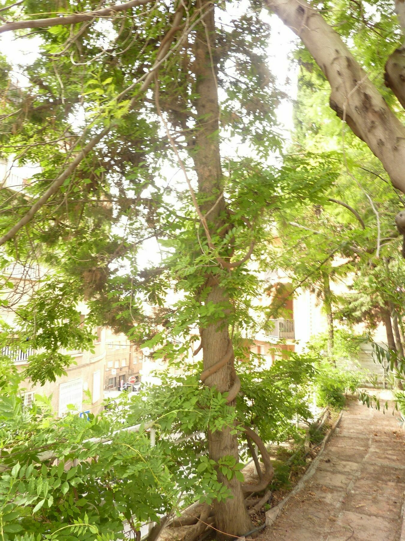 Casa Vilaro Barcellona Esterno foto
